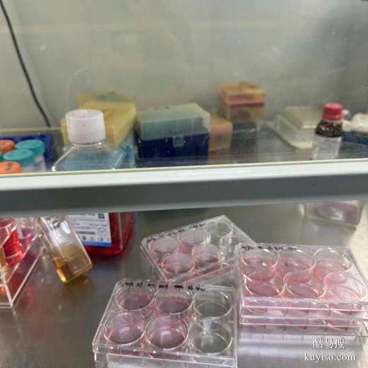 赤峰dna親子鑒定牙刷怎么用-2025上戶鑒定指南