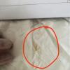 邵陽悄悄親子鑒定流程及費(fèi)用正規(guī)親子檢驗(yàn)中心地址在哪里