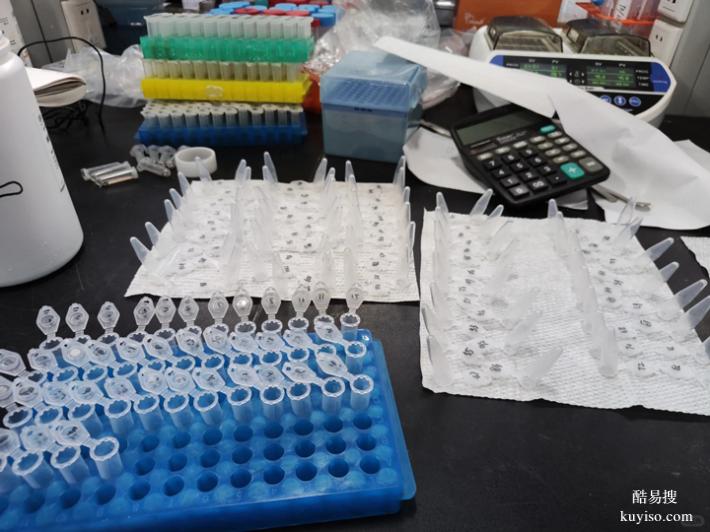 成都懷孕期親子鑒定價(jià)格2025Q4價(jià)格表（血脈相連的鐵證）