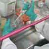 金華產(chǎn)前親子鑒定：合法與違法的明確界限-dna鑒定機(jī)構(gòu)科普