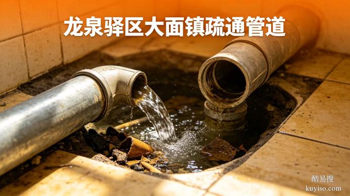 龍泉驛區(qū)大面鎮(zhèn)疏通管道專(zhuān)治各種堵塞熱線