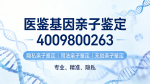 湖州可以做親子鑒定的8家正規(guī)機(jī)構(gòu)(附2026鑒定地址一覽)