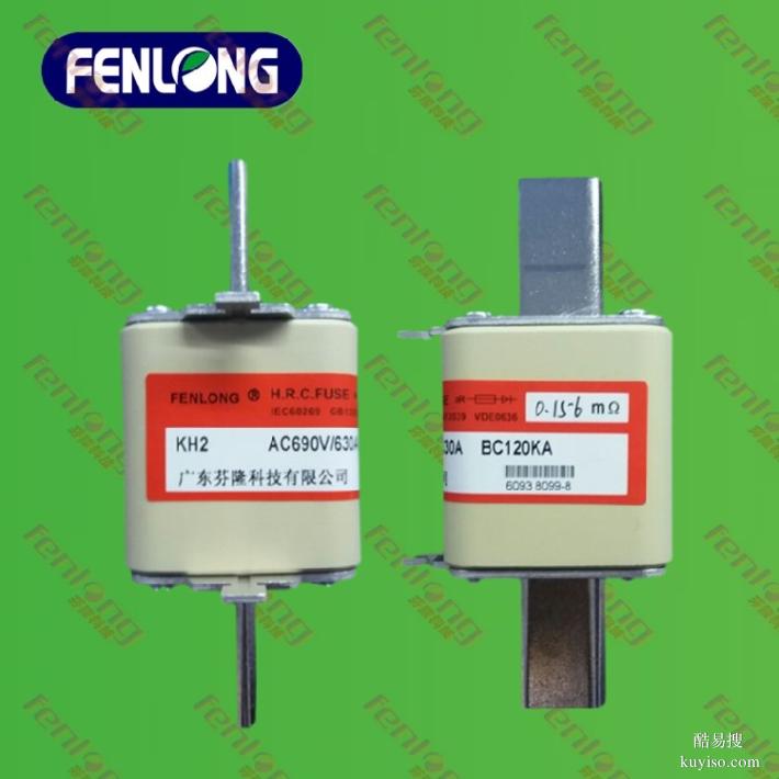 RS96-500V/200A低壓熔斷器