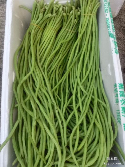 廈門蔬菜生鮮配送公司