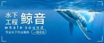 麻章區(qū)準確率的水下貴重物品打撈中心大全（2026年收費標準整理）