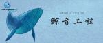 阜沙鎮(zhèn)水下貴重物品打撈的中心地址匯總（205年費用標(biāo)準(zhǔn)）
