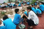 青岛日照潍坊威海军事素质拓展 素质拓展 休闲农场 奶莓采摘园