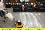 南方报社附近地毯上门清洗、专业清洗地毯、地毯污垢清洗消毒