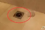 成都双流区东升镇周边维修地板砖瓷砖木地板电话师傅热线