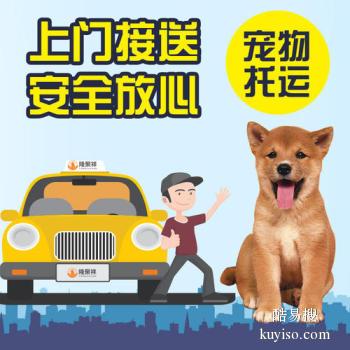 安阳本地宠物托运公司可发全国各地宠物专车直达