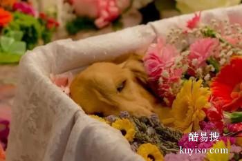 齐齐哈尔宠物埋葬 宠物纪念馆 宠宝服务联系方式