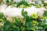 东莞万江宠物火化 宠物善终服务