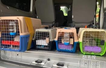 许昌宠物运输 宠物出国 国际宠物托运