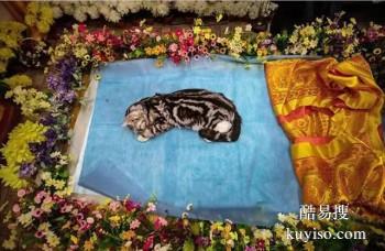 桂林灌阳宠物殡葬服务一条龙