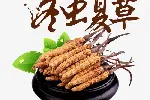 韶关市回收鲜干冬虫夏草-1根-1克-1两-1市斤-1公斤价格
