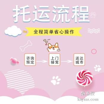 淮北宠物托运 猫狗活体运输到全国