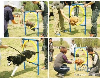 枣庄峄城宠物训练 专业训犬超大场地