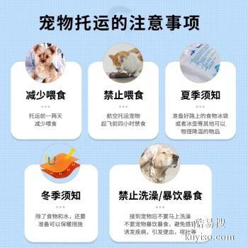 枞阳县专业猫狗托运 上门接送 宠物托运至全国