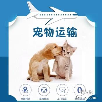 郑州中牟 宠物托运小猫小狗活体托运快递至全国