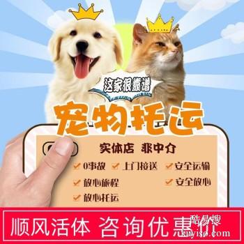 鄢陵2023宠物猫狗活体托运本地实体门店,高速直达