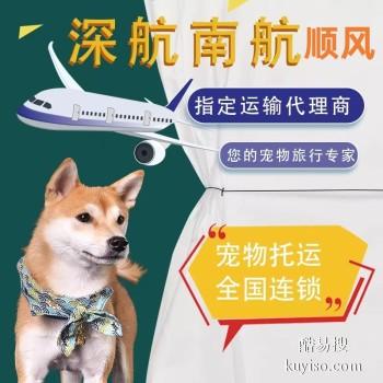安徽寿县 宠物托运本地猫狗活体运输平台