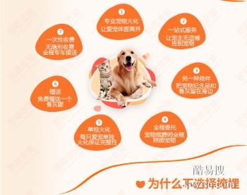 淮北本地宠物时光纪念机 宠物殡葬全过程 宠物爱屋公司