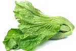 西安蔬菜公司电话