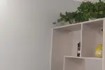 拨打成都青羊区文殊院天府广场房屋墙面翻新粉刷刮腻子电话师傅