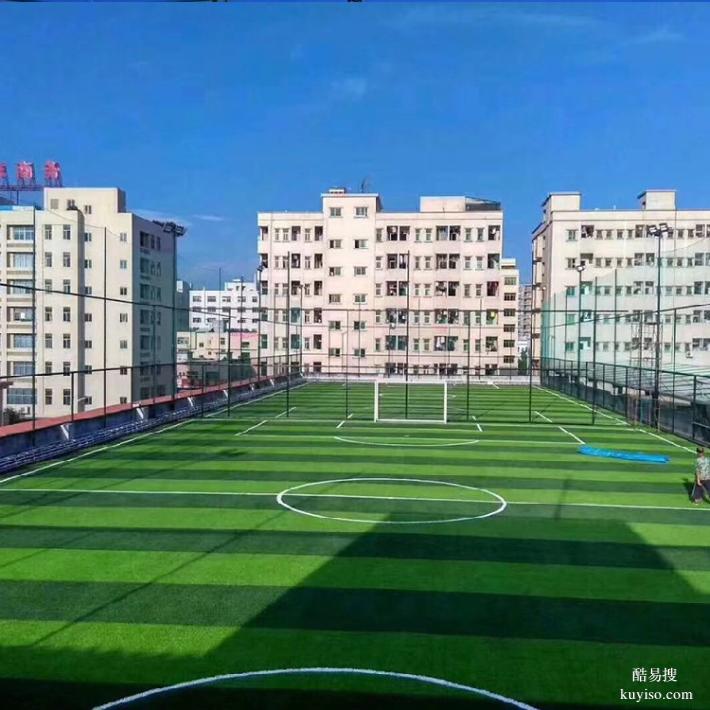 乌兰察布人造草坪休闲场高标准施工
