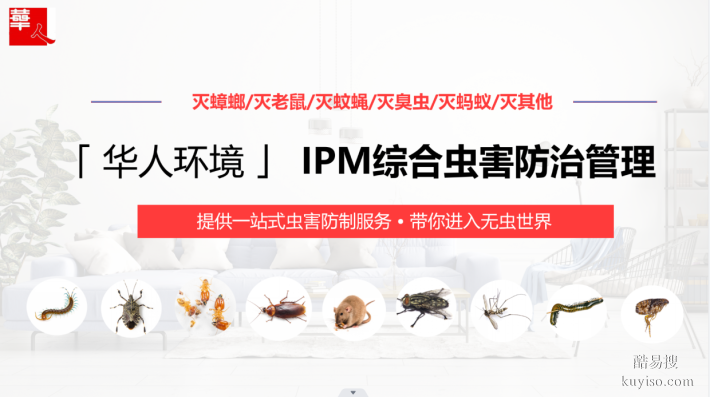 北京地区消杀灭蟑螂灭老鼠灭蚊子等虫害，选华人环境技术公司