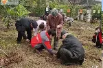 重庆永川爱颐养老院康养公寓长者幸福之选