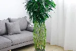 北京租赁销售绿植花卉公司