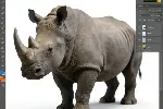 东莞市哪里有RHINO犀牛软件设计培训