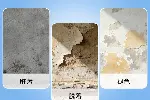 聚氨酯防水涂料,中轻度防腐涂料