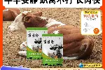 天宝力能畜日安高温天气牛羊养殖技巧牛羊抗应激添加剂厂家