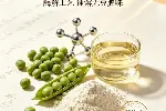 豌豆水解低聚肽肠胃好吸收减轻负担